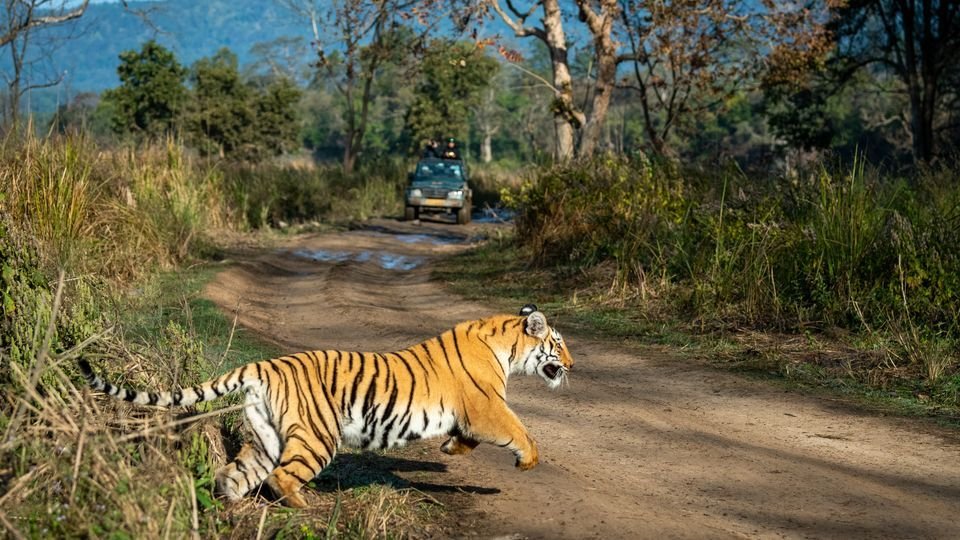 Jim Corbett